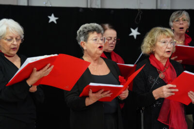 Agrandir l'image 15 sur 30, fenêtre modale