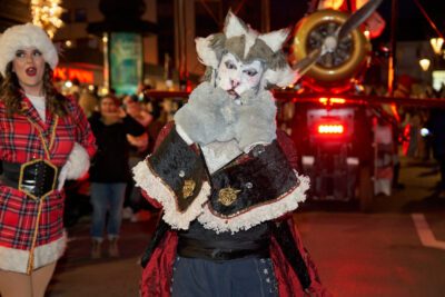 Agrandir l'image 15 sur 27, fenêtre modale