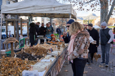 Agrandir l'image 16 sur 24, fenêtre modale