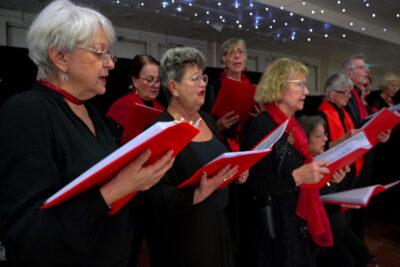 Agrandir l'image 12 sur 24, fenêtre modale