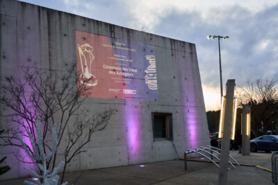 Agrandir l'image 2 sur 40, fenêtre modale