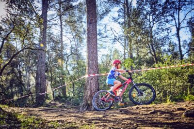 Agrandir l'image 43 sur 67, fenêtre modale