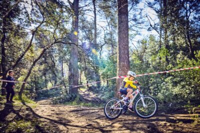 Agrandir l'image 48 sur 67, fenêtre modale