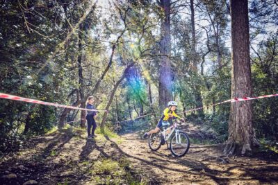 Agrandir l'image 41 sur 67, fenêtre modale