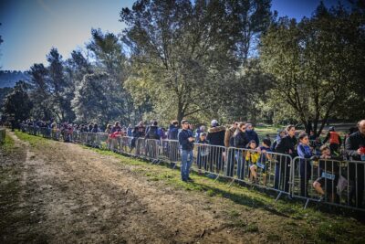 Agrandir l'image 66 sur 67, fenêtre modale