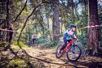 Agrandir l'image 54 sur 67, fenêtre modale