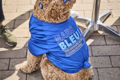 Agrandir l'image 20 sur 39, fenêtre modale