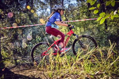 Agrandir l'image 34 sur 67, fenêtre modale