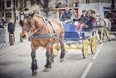Agrandir l'image 10 sur 39, fenêtre modale
