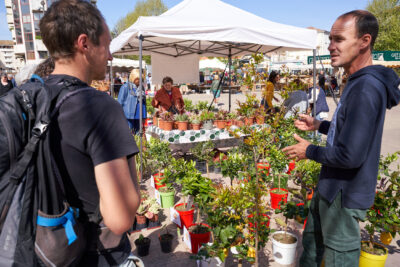 Agrandir l'image 2 sur 9, fenêtre modale