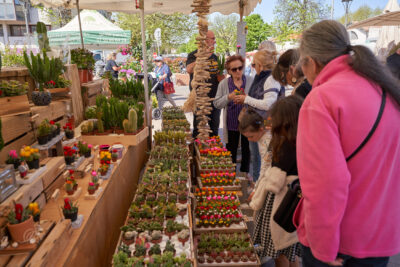 Agrandir l'image 3 sur 9, fenêtre modale