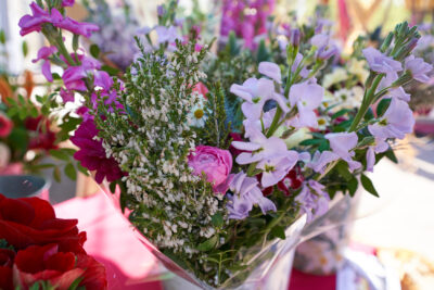 Agrandir l'image 5 sur 9, fenêtre modale