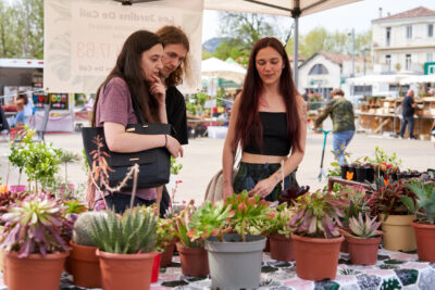 Agrandir l'image 7 sur 9, fenêtre modale