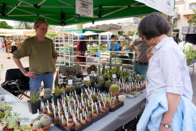 Agrandir l'image 8 sur 9, fenêtre modale