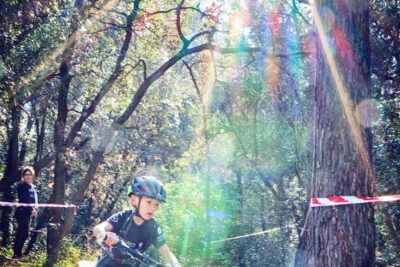 Agrandir l'image 53 sur 67, fenêtre modale