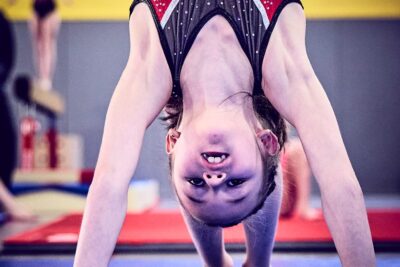 Agrandir l'image 10 sur 42, fenêtre modale