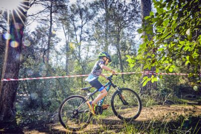 Agrandir l'image 3 sur 67, fenêtre modale