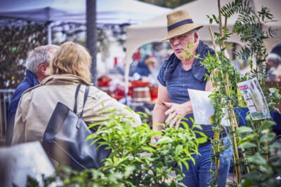 Agrandir l'image 15 sur 21, fenêtre modale