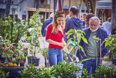 Agrandir l'image 18 sur 21, fenêtre modale