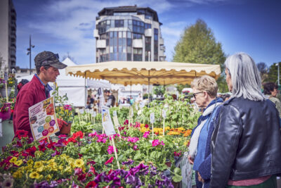 Agrandir l'image 13 sur 21, fenêtre modale