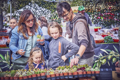 Agrandir l'image 8 sur 21, fenêtre modale