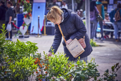 Agrandir l'image 4 sur 21, fenêtre modale