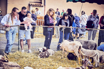 Agrandir l'image 3 sur 21, fenêtre modale