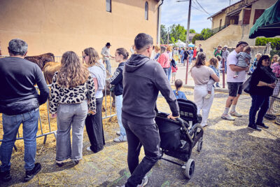 Agrandir l'image 4 sur 21, fenêtre modale