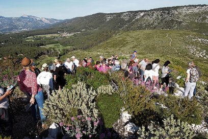 Agrandir l'image, fenêtre modale