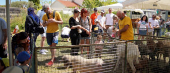 Ferme pédagogique lors des Rusticales de Beaudinard