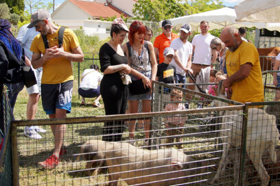 Ferme pédagogique lors des Rusticales de Beaudinard - Agrandir l'image, fenêtre modale