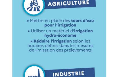 Agrandir l'image 3 sur 3, fenêtre modale