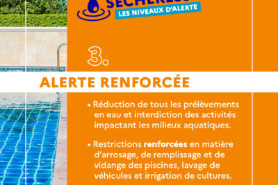 Agrandir l'image 3 sur 4, fenêtre modale