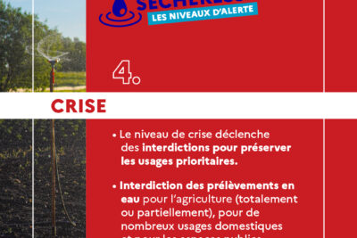 Agrandir l'image 4 sur 4, fenêtre modale