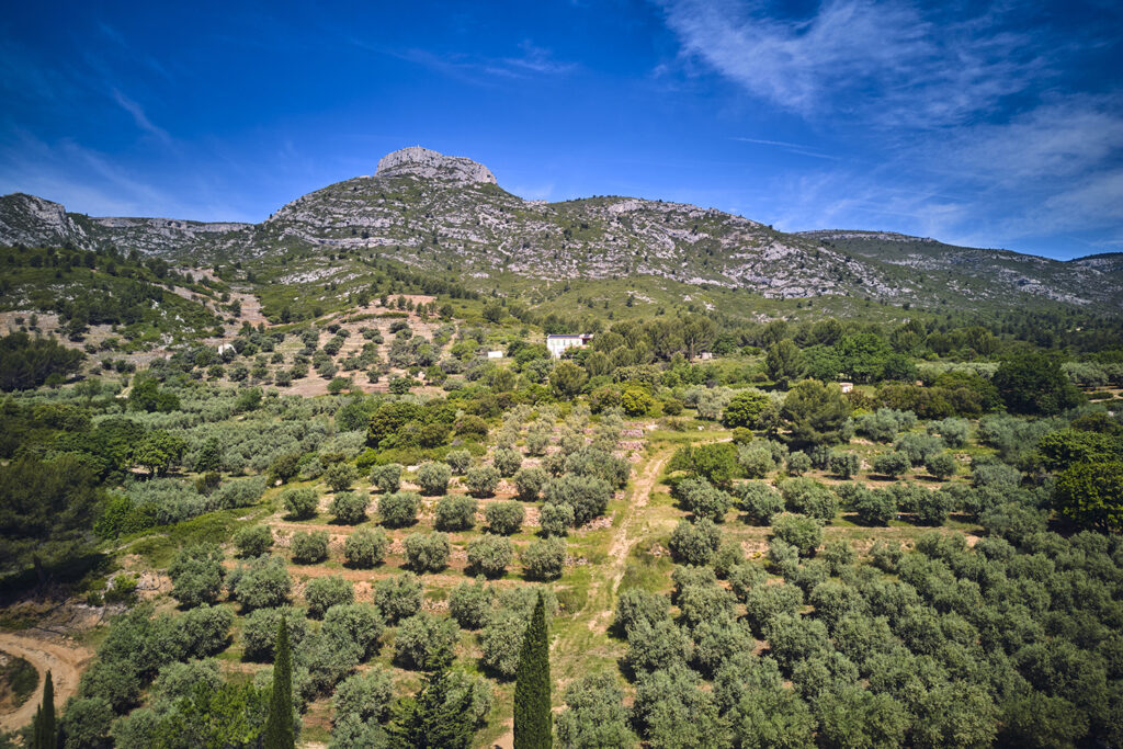 Agrandir l'image, fenêtre modale