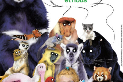 Agrandir l'image, fenêtre modale