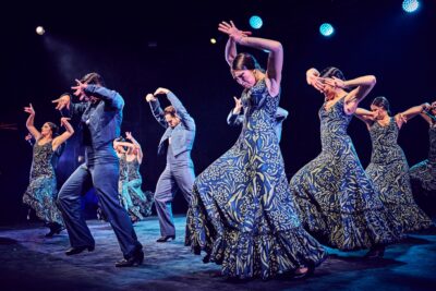 Agrandir l'image 1 sur 27, fenêtre modale