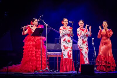 Agrandir l'image 15 sur 27, fenêtre modale