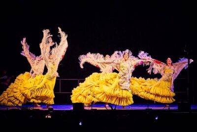 Agrandir l'image 7 sur 27, fenêtre modale