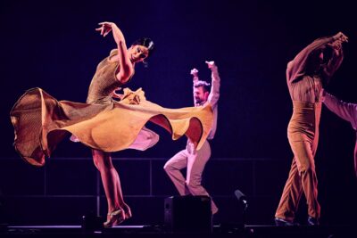 Agrandir l'image 9 sur 27, fenêtre modale