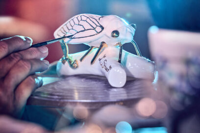 Agrandir l'image, fenêtre modale