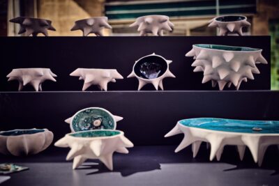 Agrandir l'image 35 sur 69, fenêtre modale