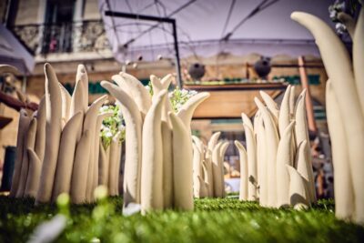 Agrandir l'image 36 sur 69, fenêtre modale