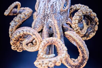 Agrandir l'image 69 sur 69, fenêtre modale