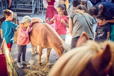 Agrandir l'image 21 sur 21, fenêtre modale