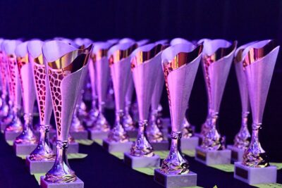 Agrandir l'image 42 sur 42, fenêtre modale