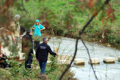 Agrandir l'image 17 sur 30, fenêtre modale