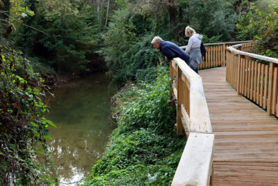 Agrandir l'image 28 sur 30, fenêtre modale