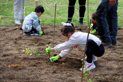 Agrandir l'image 27 sur 30, fenêtre modale