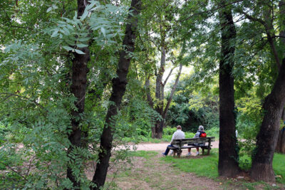 Agrandir l'image 24 sur 30, fenêtre modale